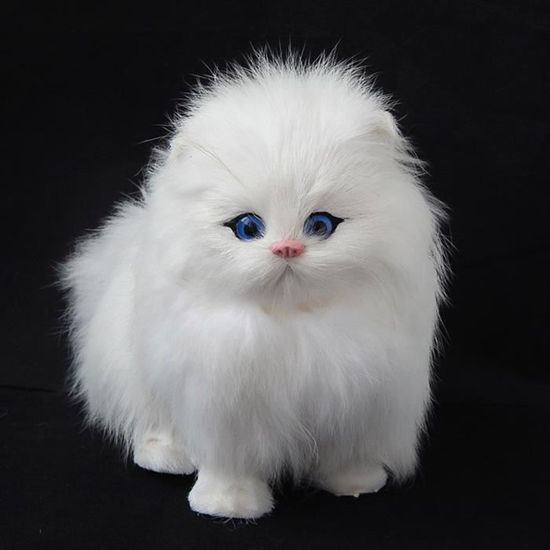 Veritable Cheveux En Peluche Simulation Chat Electronique Poupee Pour Animaux Imitation Animal Jouet Avec Meow Son Fonction Enfants Cdiscount Jeux Jouets
