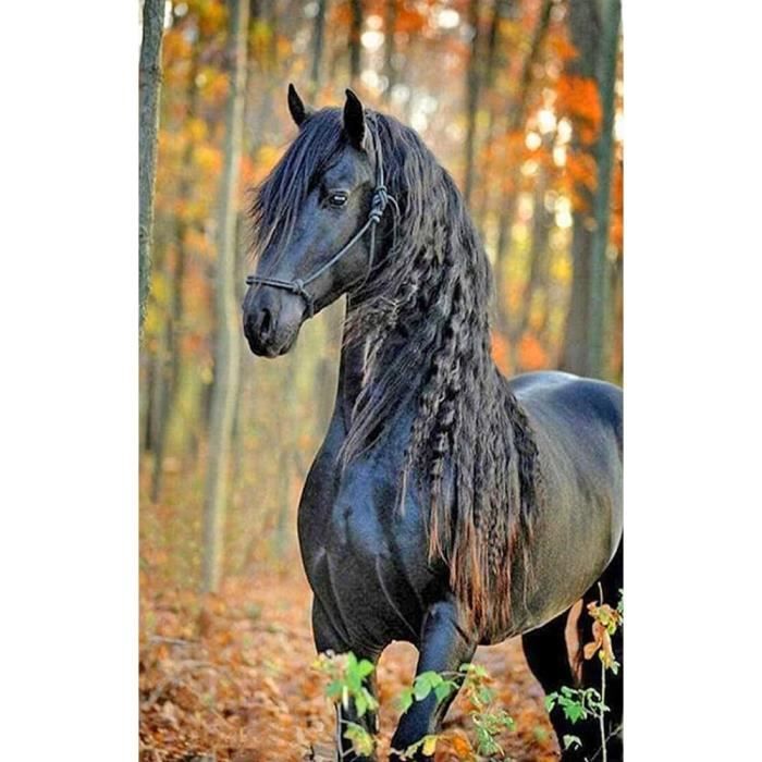 Diamond Painting Chevaux Noir 40X50Cm Diamond Painting Chevaux Carr s diamond-painting-chevaux-noir-40x50cm-diamond-painting-chevaux-carr-s