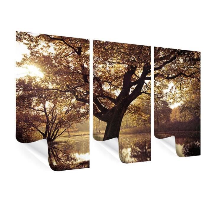 Carte Murale à Gratter (en Anglais) - Les Stations De Ski Des Alpes