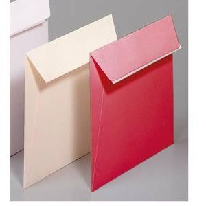 Enseigne Rouge Papier  POLLEN ENVELOPPE 165X165 PAQUET DE 20 F