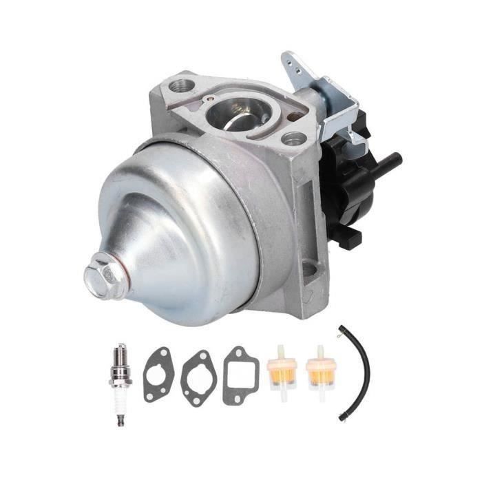 HOLZER Carburateur compatible avec tondeuse à gazon Einhell GC-PM 46/1 S / 789110