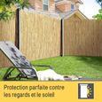 Sol Royal SolVision S36 Canisse Premium en roseau nature 100x300cm (HxB) - Brise-vent brise-vue pour balcon jardin terrasse-1