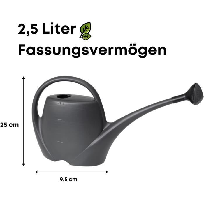 Arrosoir D'Intérieur 2 Litres Avec Long Bec Amovible Et Pompe De Douche - Pour Plantes, Bonsaï, Jardinage