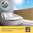 Sol Royal SolVision S36 Canisse Premium en roseau nature 100x300cm (HxB) - Brise-vent brise-vue pour balcon jardin terrasse-2