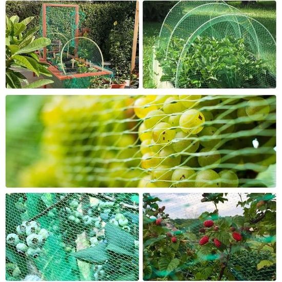 Filet de Jardin Vert 4x6m Filet d'Oiseaux Filet de Bassin Filet de Plantes pour Protéger Arbres Fruitiers Vergers Fleurs Cultures Fraises Pois Haricots