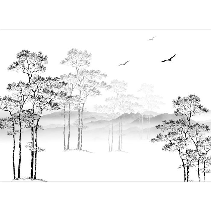 Papier Peint Panoramique 3D Soie Noir et Blanc Nature Foret, 350x250cm ...