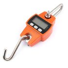 YWEI rabais-Peson Pèse Electronique Max 300KG Walfront Equilibre Electronique Mini Balance Accrochante Portative de Digital LCD d'Affich