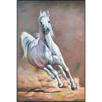 Fine Asianliving Oil Painting 100% Handpainted 3D Relief Effect Black Frame 100x150 cm White Horse