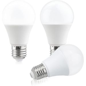 AMPOULE - LED Ampoule LED 12 V E27 A60 9 W, blanc froid 6 000 K,