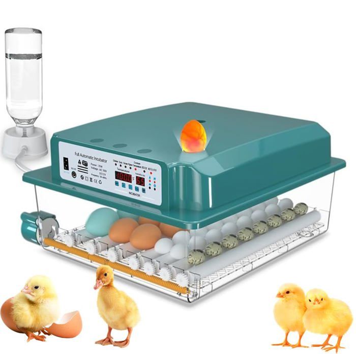 Meilleurs prix pour Couveuse Oeuf Automatique,Incubateur Oeuf Automatique 16 Oeufs avec Retournement Automatique des Oeufs et Humidification