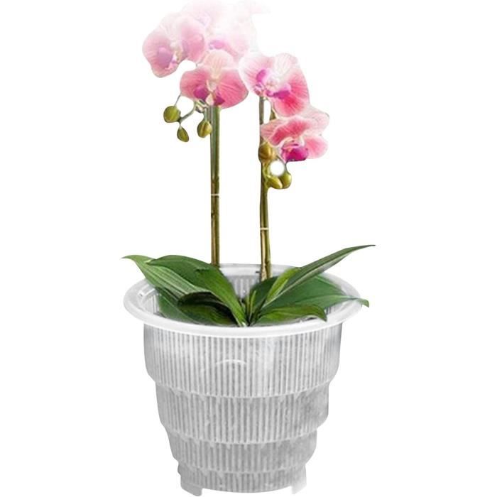 Kit De Rempotage Orchidée - Pot Transparent 16 Cm + Soucoupe + Substrat Spécial - Fabriqué En Italie