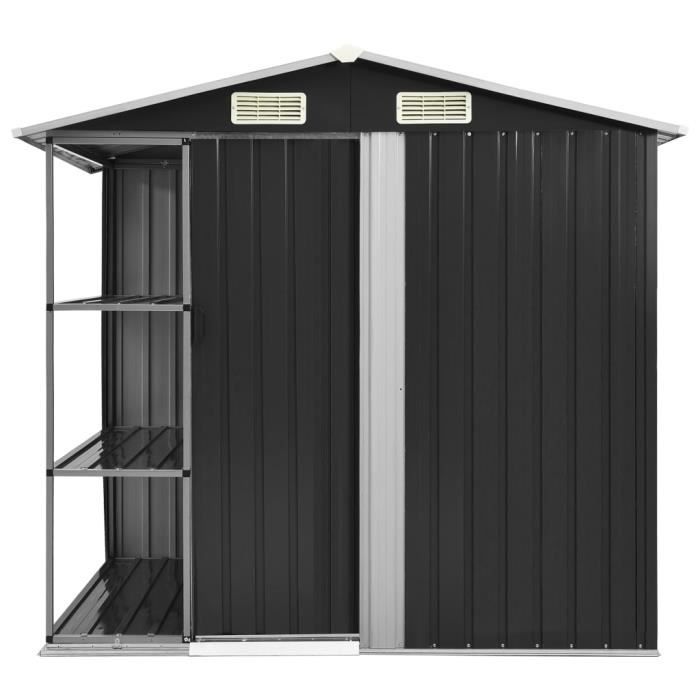 BET Abri de jardin avec étagère Anthracite 205x130x183 cm Fer BET9306191857920