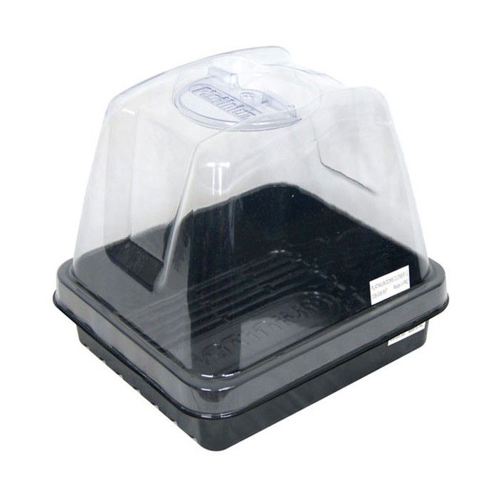 Platinium - Mini Serre Propagator 12 - Bouturage et germination