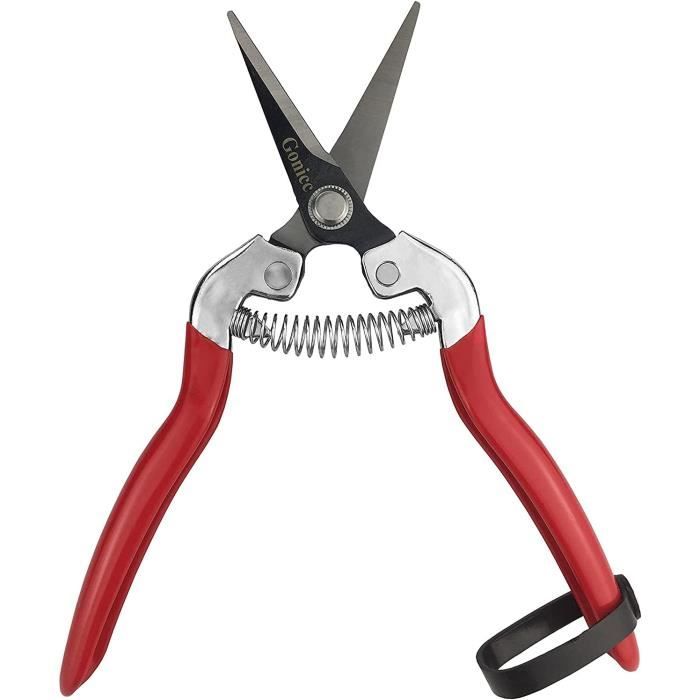 Sécateur De Précision GRÜNTEK Colibri - Lames Inox Pour Fleurs, Bonsai Et Jardin