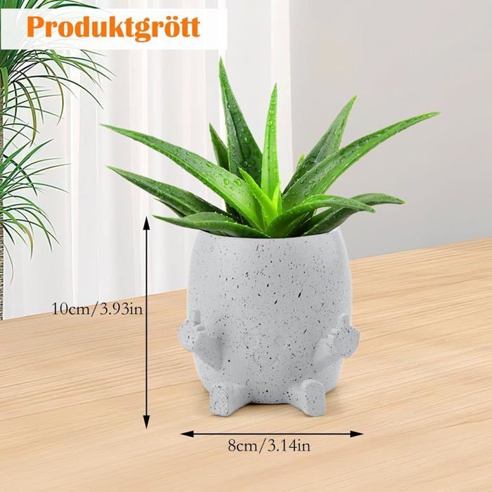 Pot De Fleurs Créatif En Forme De Livre, Pour Plantes Grasses, Plantes