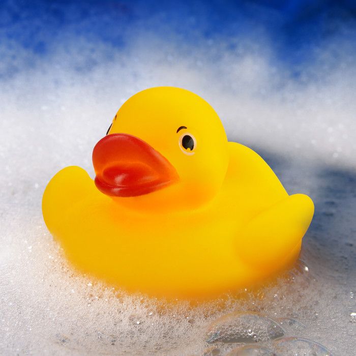Canard En Caoutchouc Dans Une Baignoire Avec Fleurs Et Serviettes De Bain Photo stock - Image du canard, bleu: 331897534