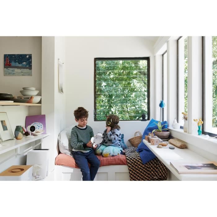 Google Nest - Enceinte connectée Google Nest Mini Galet