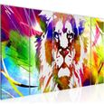 Tableau Toile Photo Lion Colore Decoration Murale 200 X 80 Cm Toison Xxl Salon Appartement Multicolore Pret A Accrocher 007355a Achat Vente Tableau Toile Cdiscount