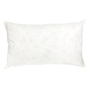 10XDIEZ Lot de 2 rembourrages pour Coussin 30x50cm