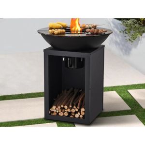 BARBECUE Barbecue plancha brasero à charbon et bois avec rangement 80 x 80 x 96 cm noir - IGNOS