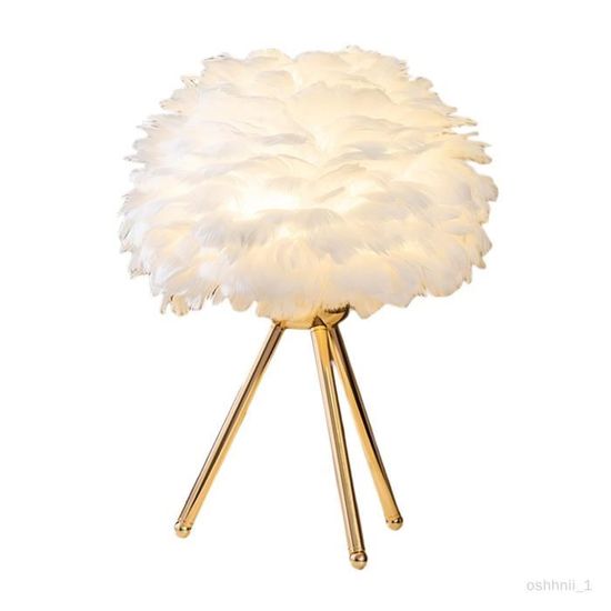 Moderne plumes lampe de table décor lanterne luminaire LED