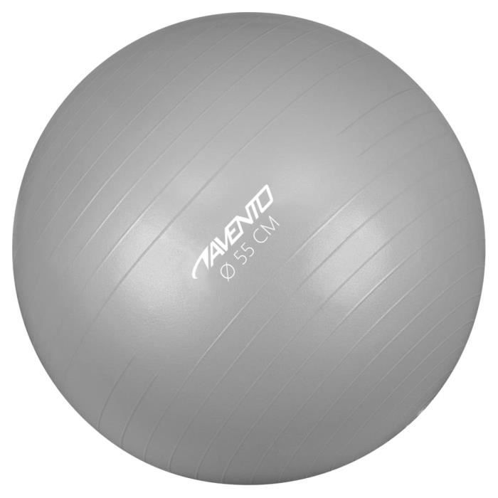 Avento Magnifique-Ballon de fitness-d'exercice Ballon de Gymnastique pour Fitness Exercice Yoga - Diamètre 55 cm Argenté♣1980