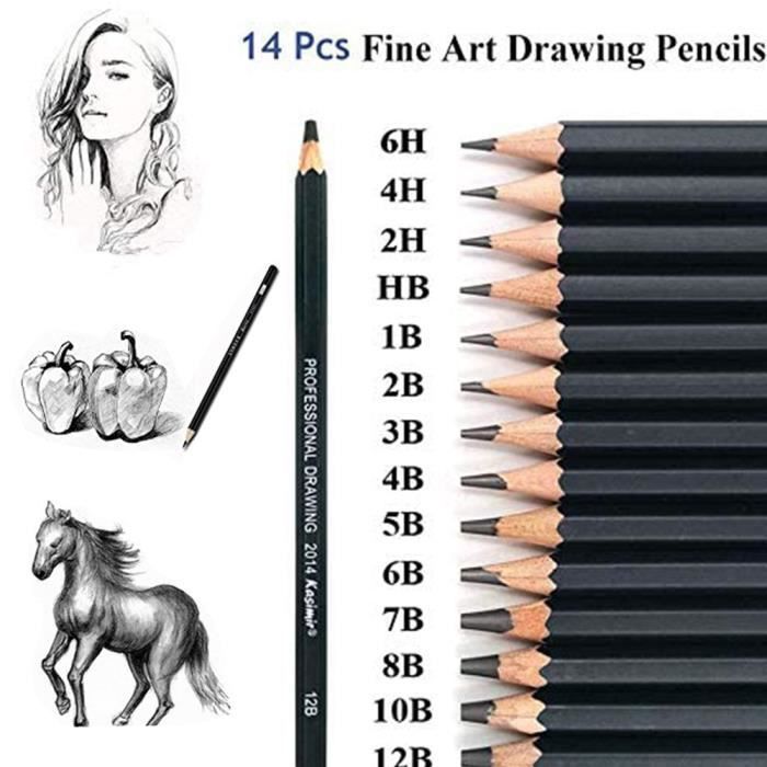 Ensemble de à Dessin,WEAMOLE 14Pcs Crayons Croquis Kit Crayons à Croquis Graphite 12B 10B 8B 7B 6B 5B 4B 3B 2B B HB 2H 4H 6H