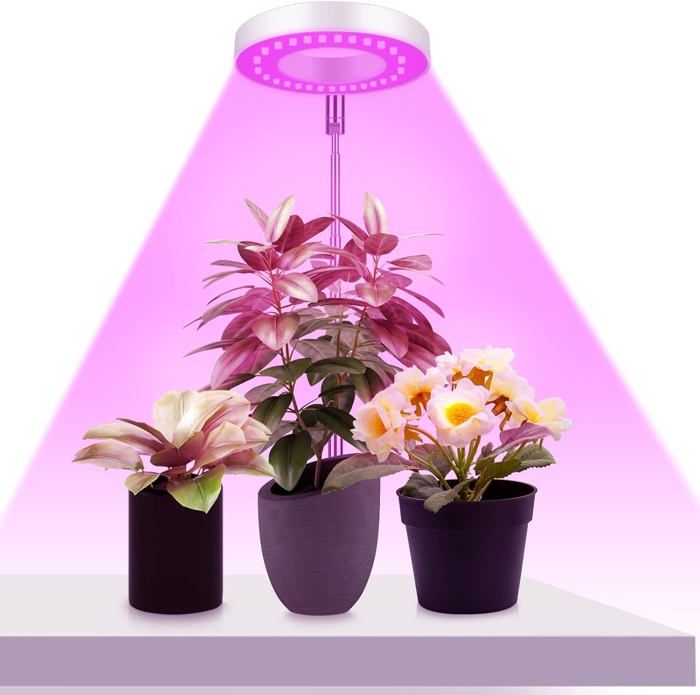 Lampe de croissance pour plantes 48 LED à spectre complet minuterie marche/arrêt automatique idéale pour les petites plantes