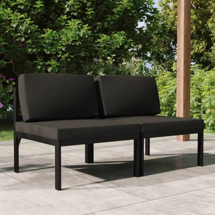 Canapé de jardin 2 places-Salon de jardin-Sofa de jardin avec coussins Aluminium Anthracite 125634