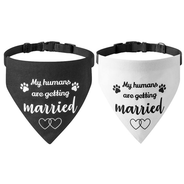 Bandana de mariage pour chien lot de 2 écharpe pour chien annonce de fiançailles pour chiens et chats