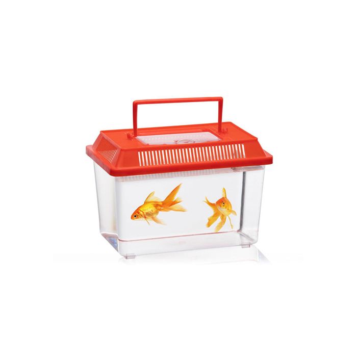 Boite Insectes Couleurs Assorties - Cdiscount Jeux - Jouets