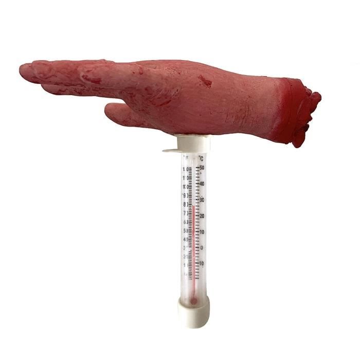 Thermomètre Flottant Pour Bain Froid Ou Piscine - Affichage Numérique - Plage -20°C à 70°C - Étanchéité IPX6