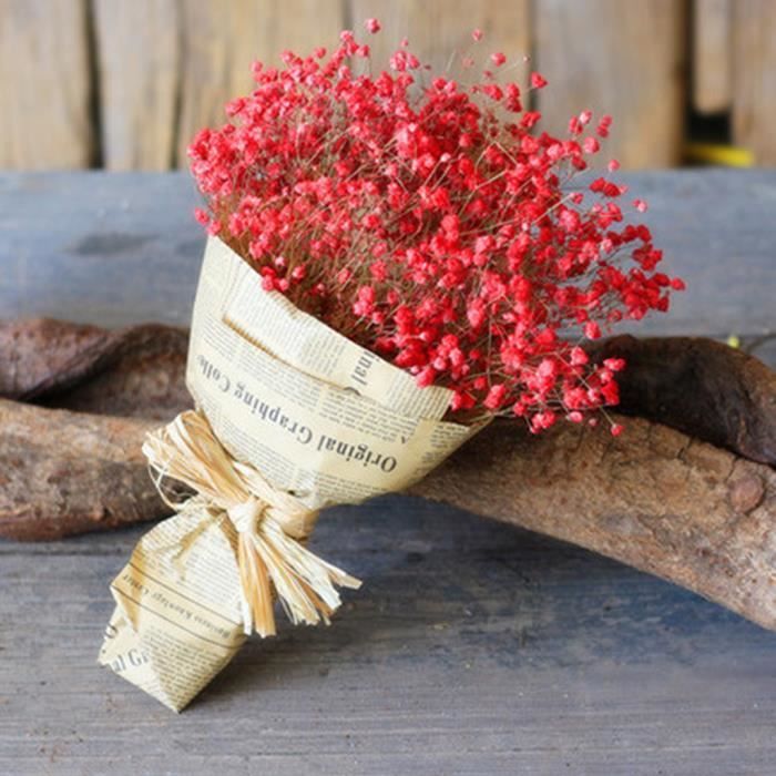 Souffle De Bebe De Fleur Sechee Naturelle Decor A La Maison Fleur Sechee Naturelle Pleine Etoiles Gy Hhard Moll Achat Vente Fleur Artificielle Soldes Sur Cdiscount Des Le Janvier Cdiscount