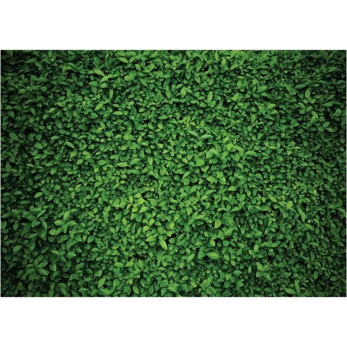 Punzone Automatico Per Pelle - 6 Punte Da 1.5-4 Mm, Per Cuoio, Carta E Artigianato