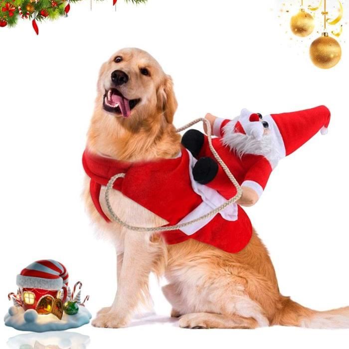 Vetement de hotsell noel pour chien