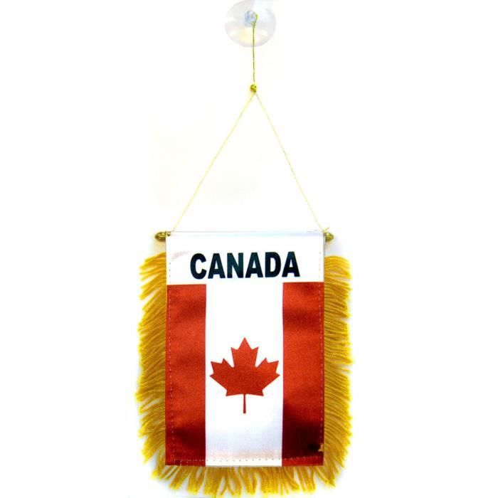 Fanion Palestine 15X10Cm - Mini Drapeau Palestinien 10 X 15 Cm Spécial