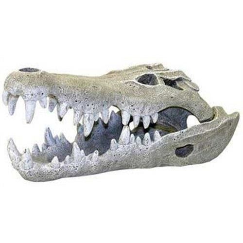 Comparer les prix de Rosewood Décor pour Aquarium Crâne de Crocodile du Nil Petit