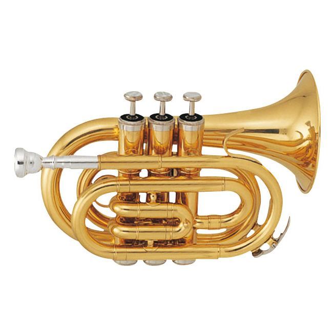 trompette de poche en sib tp50