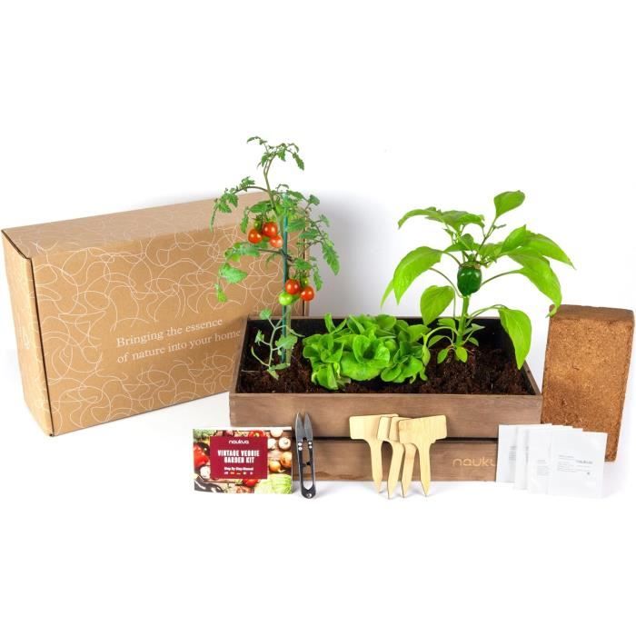 Mini Kit Légumes Vintage BIO*