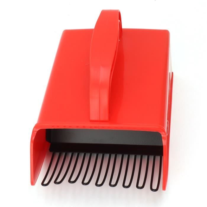LaGreen Peigne à Baies En Bois - Cueilleur Efficace Pour Myrtilles, Groseilles, Framboises Et Mûres