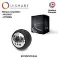 OuiSmart® Levier de Vitesse 6 Pommeau compatible CITROEN Peugeot RCZ 3008 407 5008 807-0