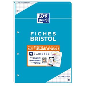 Generic Fiches Bristol Quadrillée Format A4 Bleu - Paquet De 100 - Prix pas  cher