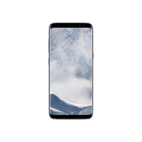 Samsung Galaxy S8 SM-G950F, 14,7 cm (5.8"), 64 Go, 12 MP, Android, 7.0, Argent