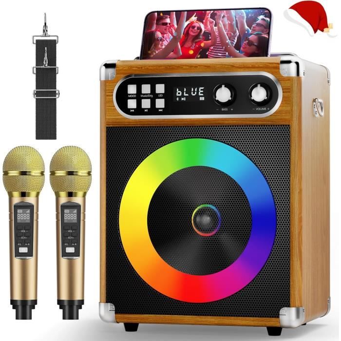 Système Karaoké Portable MusyVocay - Enceinte 20W + 2 Micros Sans Fil UHF - Fun Entre Amis