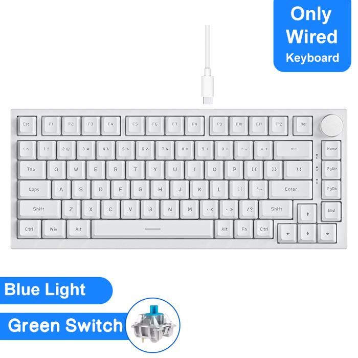 clavier mécanique de jeu Bluetooth 5.1/sans fil/câblé C clavier personnalisé avec bouton joint déchange à chaud AK820 White