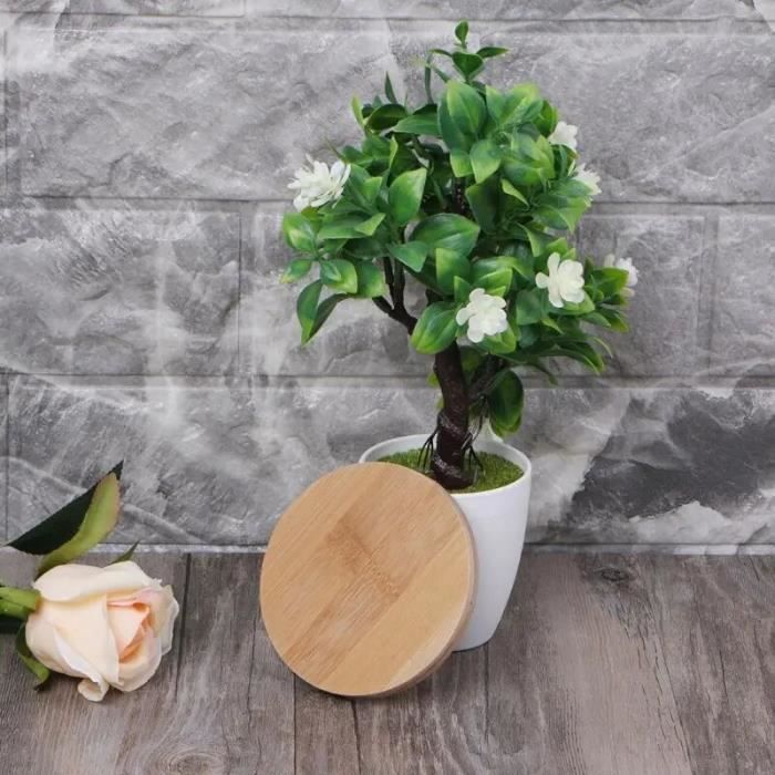 Lot De 2 Supports à Roulettes Pour Plantes - Plateau Multifonction Pour Pots De Fleurs