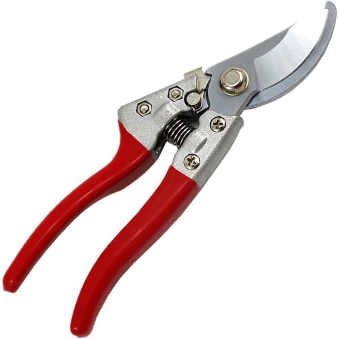 Ciseaux de Jardin pour lagage Scateur pour Couper Fleurs et Bonsas Tout Droit YYV - Jardin