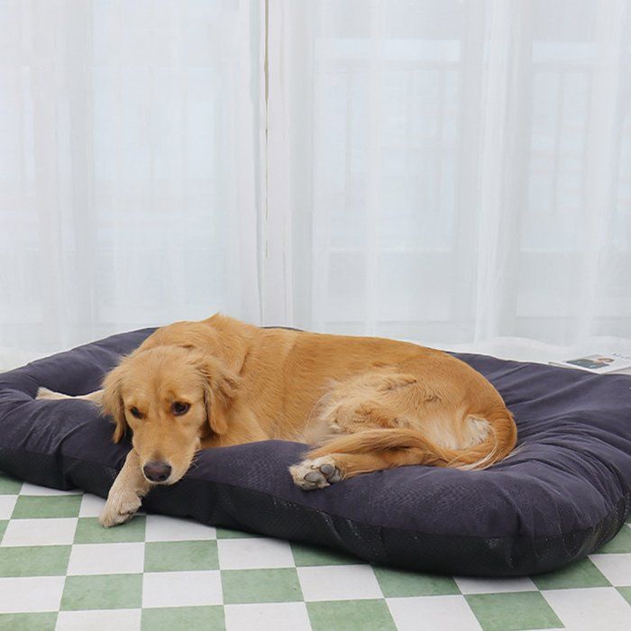 Meilleurs prix pour Panier Chien, Lit pour Animaux, 110x75cm, Moelleux Velours Côtelé, Lavable et Dehoussable, Gris, pour l''intérieur et l''extérieur