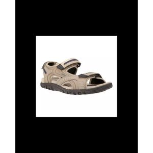 geox pied large