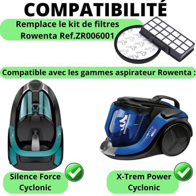 FILTRE HEPA ROWENTA SILENCE FORCE MULTICYCLONIC (RS-RT4109) - Cdiscount  Electroménager